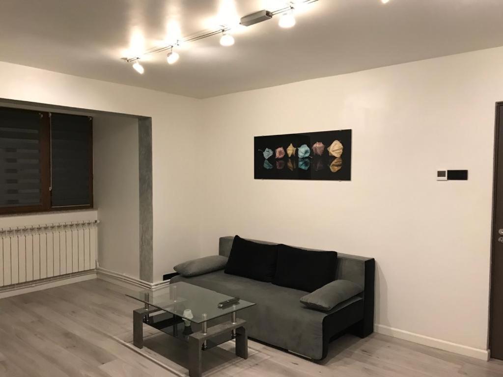Elegant & Silver Luxury Apartament Craiova Eksteriør bilde